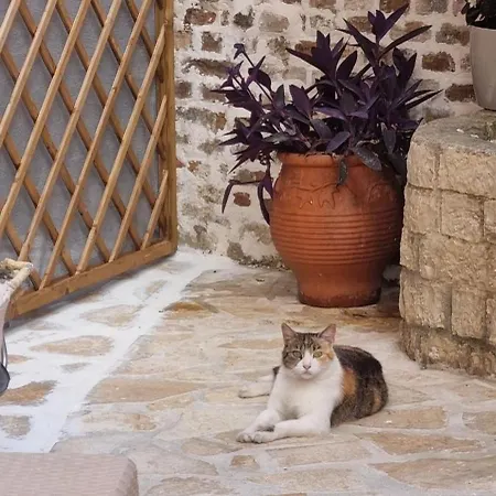 Portoni * Corfu (city)